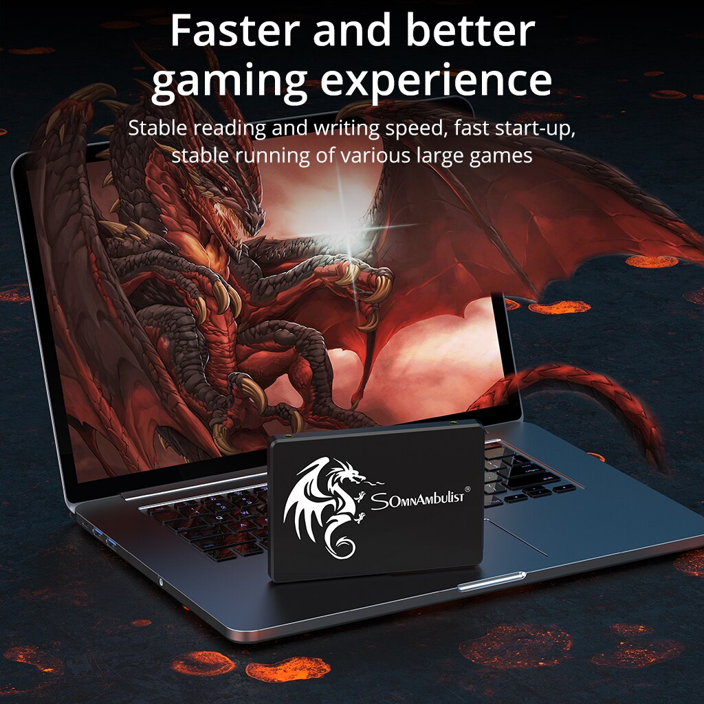 SomnAmbulist SSD 120GB 240GB 4 - Samsung Ssd Evo 870 recensie en prijs