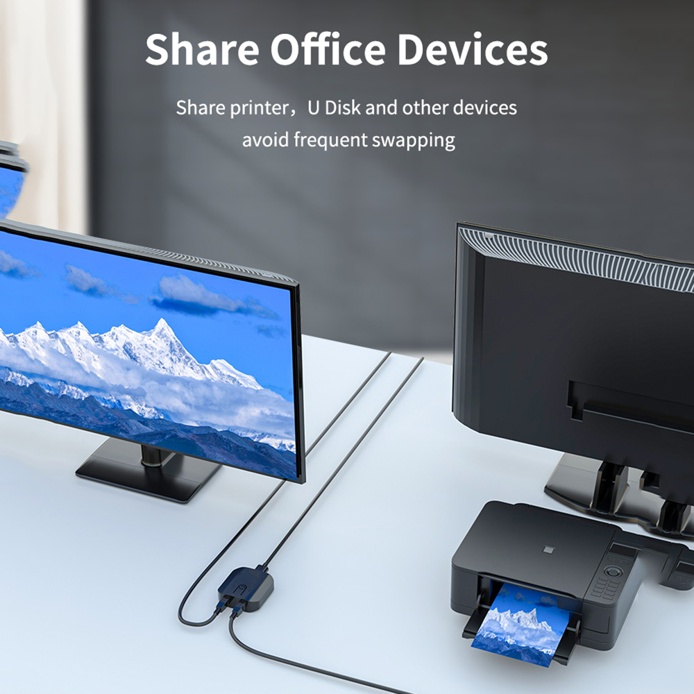 2X1 Kvm Switch Box Selector Du - Monitor Portable Usb recensie en prijs