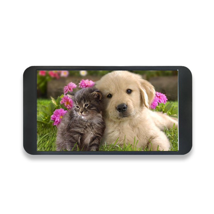 7 inch 1080P monitor 1920*1080 - Monitor Portable Usb recensie en prijs
